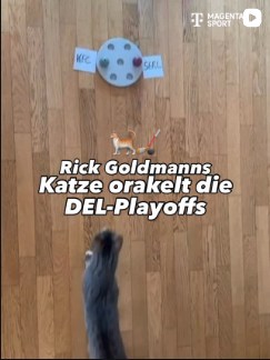 Screenshot des Social Media Highlights der Woche.